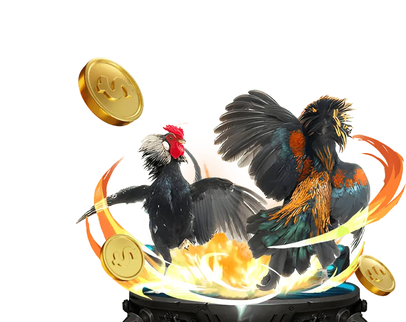 Mẹo và chiến thuật cá cược đá gà