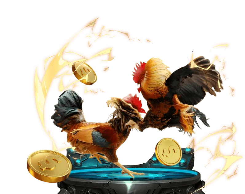 Trải nghiệm đá gà trực tiếp